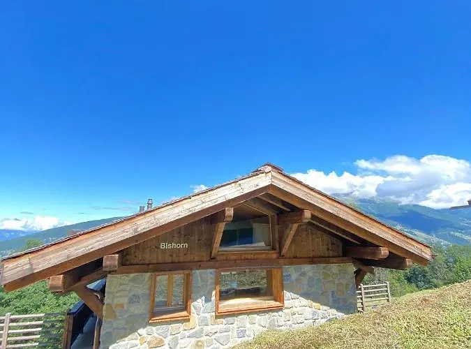 Bishorn Cosy 4 Personnes * Les Mosses